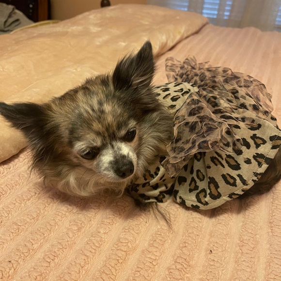 Meet your Posher, Erin - Picture 7 of 15